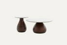 Couchtisch Set "Heide"