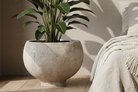 Keramik Pot Clay Schlafzimmer Close-up